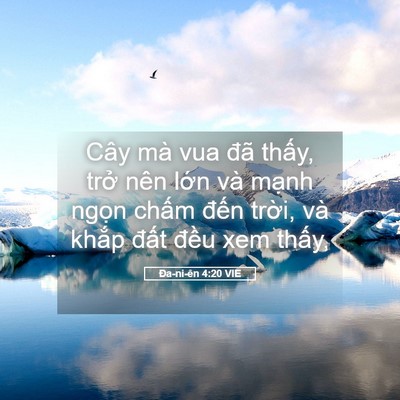 Picture 05 - Ða-ni-ên 4:20 VIE - Cây mà vua đã thấy, trở nên lớn và - Bible Verse Picture