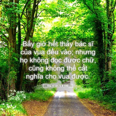 Picture 05 - Ða-ni-ên 5:8 VIE - Bấy giờ hết thảy bác sĩ của vua - Bible Verse Picture