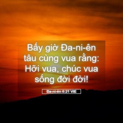 Picture 05 - Ða-ni-ên 6:21 VIE - Bấy giờ Đa-ni-ên tâu cùng vua rằng: - Bible Verse Picture