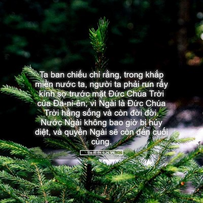 Picture 05 - Ða-ni-ên 6:26 VIE - Ta ban chiếu chỉ rằng, trong khắp miền - Bible Verse Picture