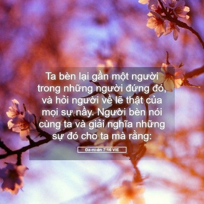 Picture 05 - Ða-ni-ên 7:16 VIE - Ta bèn lại gần một người trong những - Bible Verse Picture
