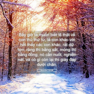 Picture 05 - Ða-ni-ên 7:19 VIE - Bấy giờ ta muốn biết lẽ thật về con - Bible Verse Picture