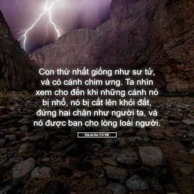 Picture 05 - Ða-ni-ên 7:4 VIE - Con thứ nhất giống như sư tử, và có - Bible Verse Picture