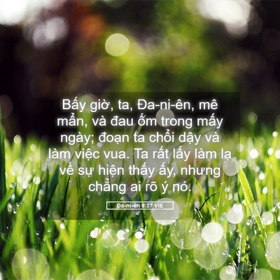 Picture 05 - Ða-ni-ên 8:27 VIE - Bấy giờ, ta, Đa-ni-ên, mê mẩn, và đau - Bible Verse Picture