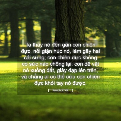 Picture 05 - Ða-ni-ên 8:7 VIE - Ta thấy nó đến gần con chiên đực, - Bible Verse Picture