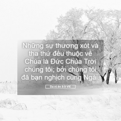 Picture 05 - Ða-ni-ên 9:9 VIE - Những sự thương xót và tha thứ đều - Bible Verse Picture