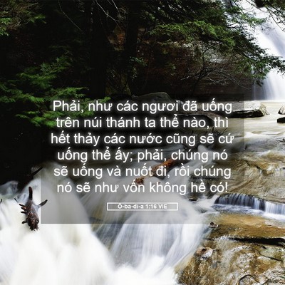 Picture 05 - Ô-ba-đi-a 1:16 VIE - Phải, như các ngươi đã uống trên núi - Bible Verse Picture