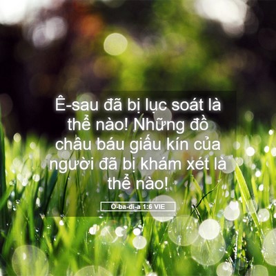 Picture 05 - Ô-ba-đi-a 1:6 VIE - Ê-sau đã bị lục soát là thể nào! - Bible Verse Picture