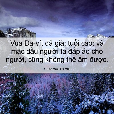 Picture 06 - 1 Các Vua 1:1 VIE - Vua Đa-vít đã già; tuổi cao; và mặc - Bible Verse Picture