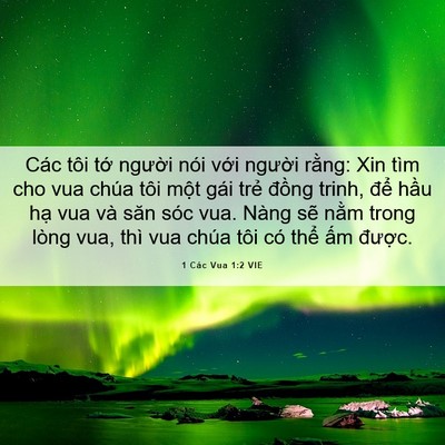 Picture 06 - 1 Các Vua 1:2 VIE - Các tôi tớ người nói với người - Bible Verse Picture