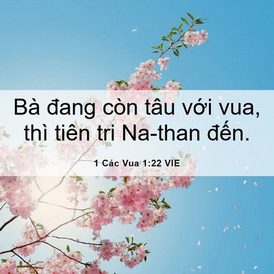 Picture 06 - 1 Các Vua 1:22 VIE - Bà đang còn tâu với vua, thì tiên tri - Bible Verse Picture