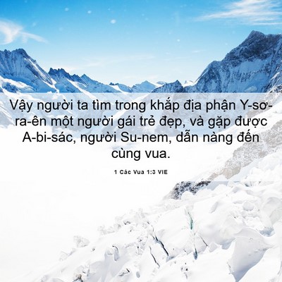 Picture 06 - 1 Các Vua 1:3 VIE - Vậy người ta tìm trong khắp địa phận - Bible Verse Picture