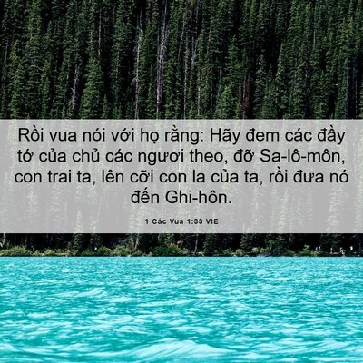 Picture 06 - 1 Các Vua 1:33 VIE - Rồi vua nói với họ rằng: Hãy đem các - Bible Verse Picture