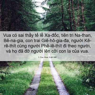 Picture 06 - 1 Các Vua 1:44 VIE - Vua có sai thầy tế lễ Xa-đốc, tiên tri - Bible Verse Picture