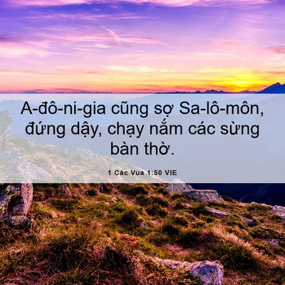 Picture 06 - 1 Các Vua 1:50 VIE - A-đô-ni-gia cũng sợ Sa-lô-môn, đứng - Bible Verse Picture