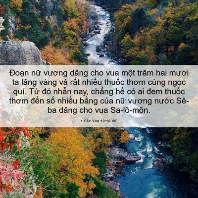Picture 06 - 1 Các Vua 10:10 VIE - Đoạn nữ vương dâng cho vua một trăm - Bible Verse Picture
