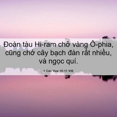 Picture 06 - 1 Các Vua 10:11 VIE - Đoàn tàu Hi-ram chở vàng Ô-phia, cũng - Bible Verse Picture