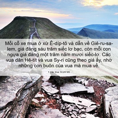 Picture 06 - 1 Các Vua 10:29 VIE - Mỗi cỗ xe mua ở xứ Ê-díp-tô và dẫn - Bible Verse Picture