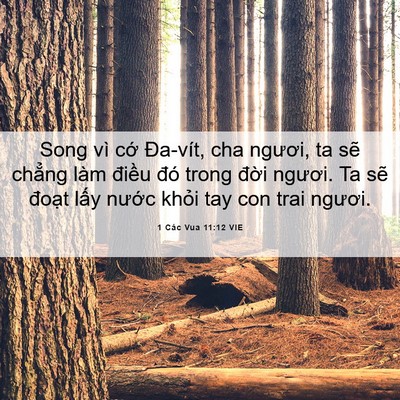 Picture 06 - 1 Các Vua 11:12 VIE - Song vì cớ Đa-vít, cha ngươi, ta sẽ - Bible Verse Picture