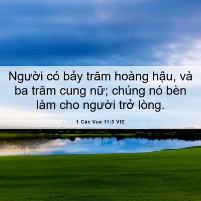 Picture 06 - 1 Các Vua 11:3 VIE - Người có bảy trăm hoàng hậu, và ba - Bible Verse Picture