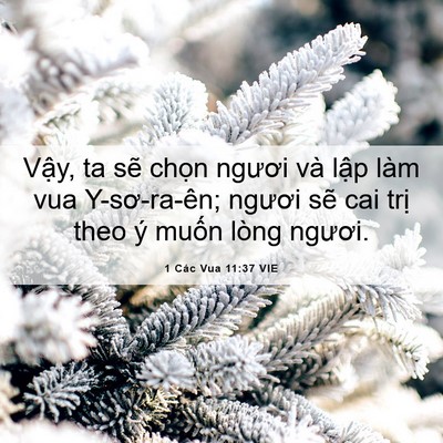Picture 06 - 1 Các Vua 11:37 VIE - Vậy, ta sẽ chọn ngươi và lập làm vua - Bible Verse Picture