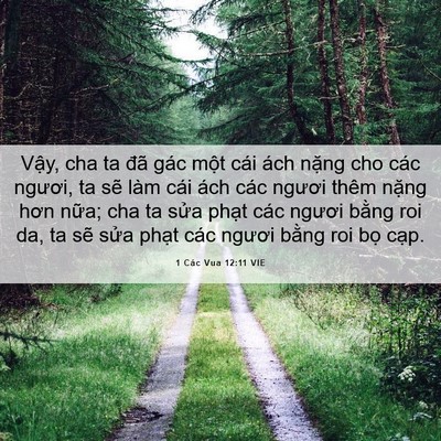 Picture 06 - 1 Các Vua 12:11 VIE - Vậy, cha ta đã gác một cái ách nặng - Bible Verse Picture