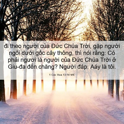 Picture 06 - 1 Các Vua 13:14 VIE - đi theo người của Đức Chúa Trời, - Bible Verse Picture