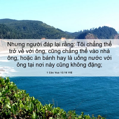 Picture 06 - 1 Các Vua 13:16 VIE - Nhưng người đáp lại rằng: Tôi chẳng - Bible Verse Picture