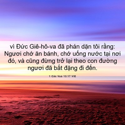 Picture 06 - 1 Các Vua 13:17 VIE - vì Đức Giê-hô-va đã phán dặn tôi - Bible Verse Picture