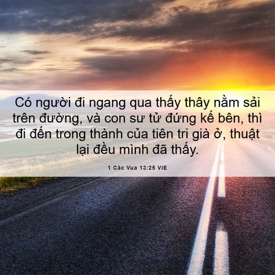 Picture 06 - 1 Các Vua 13:25 VIE - Có người đi ngang qua thấy thây nằm - Bible Verse Picture