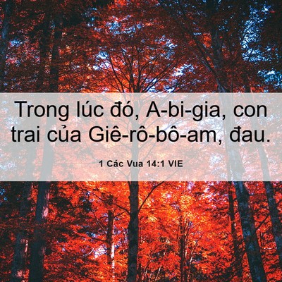 Picture 06 - 1 Các Vua 14:1 VIE - Trong lúc đó, A-bi-gia, con trai của - Bible Verse Picture