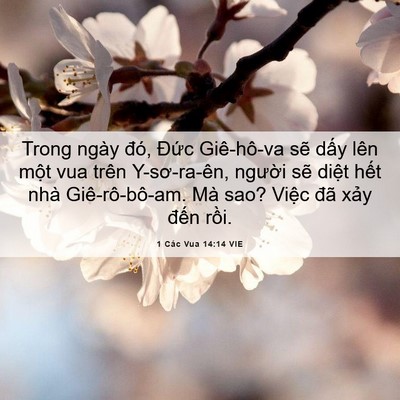 Picture 06 - 1 Các Vua 14:14 VIE - Trong ngày đó, Đức Giê-hô-va sẽ dấy - Bible Verse Picture