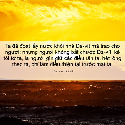 Picture 06 - 1 Các Vua 14:8 VIE - Ta đã đoạt lấy nước khỏi nhà - Bible Verse Picture