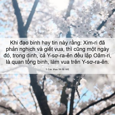 Picture 06 - 1 Các Vua 16:16 VIE - Khi đạo binh hay tin này rằng: Xim-ri đã - Bible Verse Picture