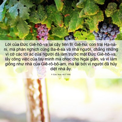 Picture 06 - 1 Các Vua 16:7 VIE - Lời của Đức Giê-hô-va lại cậy tiên - Bible Verse Picture