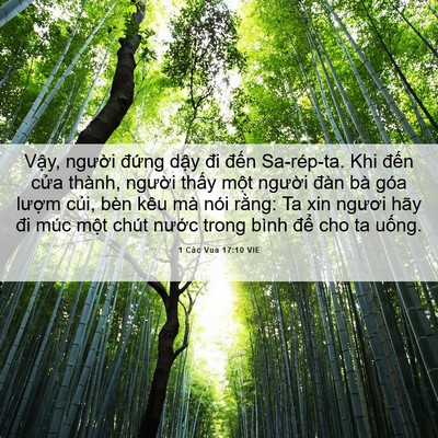 Picture 06 - 1 Các Vua 17:10 VIE - Vậy, người đứng dậy đi đến - Bible Verse Picture