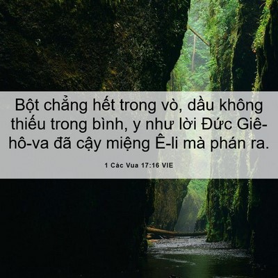 Picture 06 - 1 Các Vua 17:16 VIE - Bột chẳng hết trong vò, dầu không - Bible Verse Picture