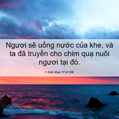 Picture 06 - 1 Các Vua 17:4 VIE - Ngươi sẽ uống nước của khe, và ta - Bible Verse Picture
