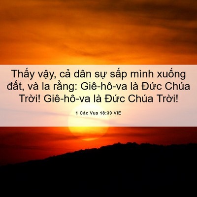 Picture 06 - 1 Các Vua 18:39 VIE - Thấy vậy, cả dân sự sấp mình xuống - Bible Verse Picture