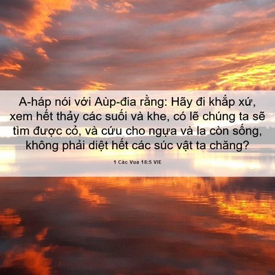 Picture 06 - 1 Các Vua 18:5 VIE - A-háp nói với Aùp-đia rằng: Hãy đi - Bible Verse Picture