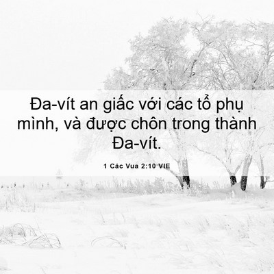 Picture 06 - 1 Các Vua 2:10 VIE - Đa-vít an giấc với các tổ phụ mình, - Bible Verse Picture