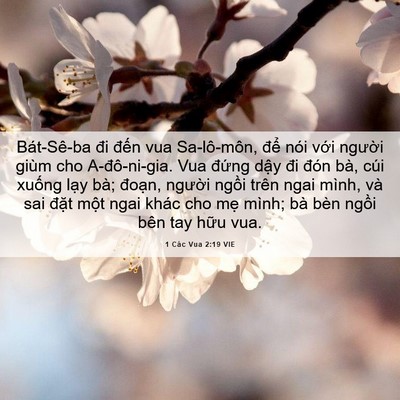 Picture 06 - 1 Các Vua 2:19 VIE - Bát-Sê-ba đi đến vua Sa-lô-môn, để - Bible Verse Picture