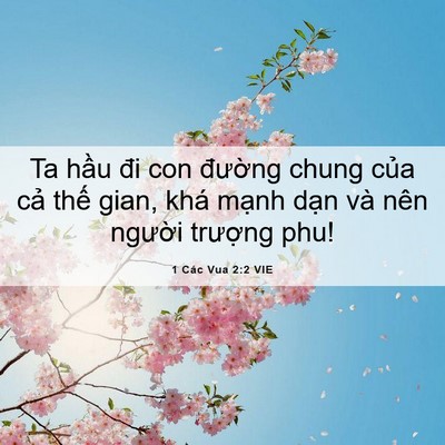 Picture 06 - 1 Các Vua 2:2 VIE - Ta hầu đi con đường chung của cả thế - Bible Verse Picture