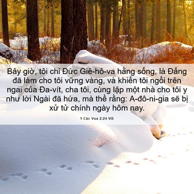 Picture 06 - 1 Các Vua 2:24 VIE - Bây giờ, tôi chỉ Đức Giê-hô-va hằng - Bible Verse Picture