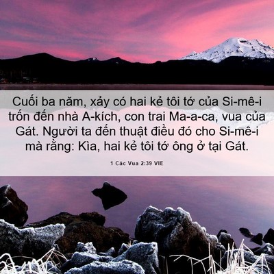 Picture 06 - 1 Các Vua 2:39 VIE - Cuối ba năm, xảy có hai kẻ tôi tớ - Bible Verse Picture