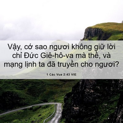 Picture 06 - 1 Các Vua 2:43 VIE - Vậy, cớ sao ngươi không giữ lời chỉ - Bible Verse Picture