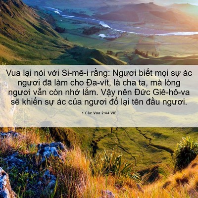 Picture 06 - 1 Các Vua 2:44 VIE - Vua lại nói với Si-mê-i rằng: Ngươi - Bible Verse Picture