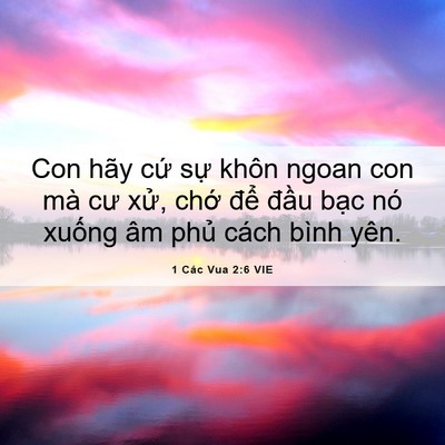Picture 06 - 1 Các Vua 2:6 VIE - Con hãy cứ sự khôn ngoan con mà cư xử, - Bible Verse Picture