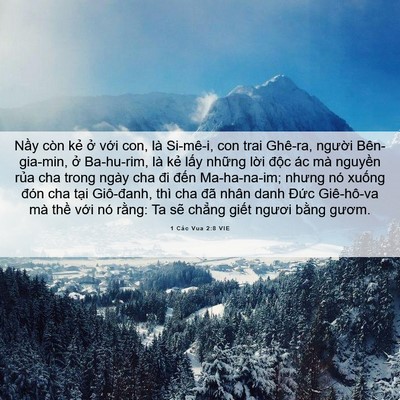 Picture 06 - 1 Các Vua 2:8 VIE - Nầy còn kẻ ở với con, là Si-mê-i, con - Bible Verse Picture