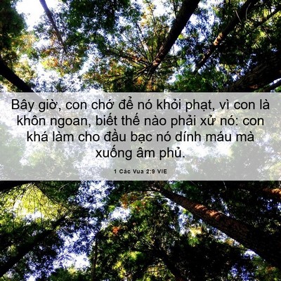 Picture 06 - 1 Các Vua 2:9 VIE - Bây giờ, con chớ để nó khỏi phạt, - Bible Verse Picture